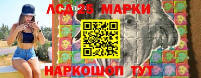 гидра Новодвинск