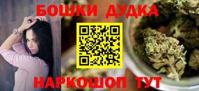 гидра Новодвинск