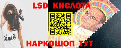 гидра Новодвинск