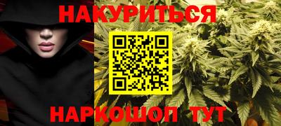 гидра Новодвинск