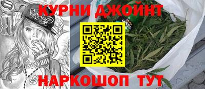гидра Новодвинск