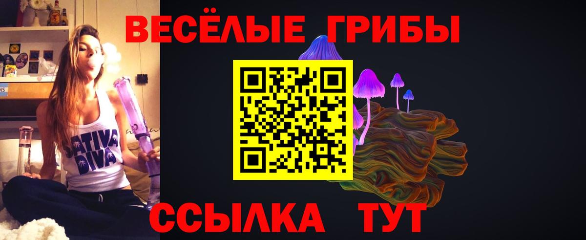 Псилоцибиновые грибы Cubensis  Вход с VPN  Серов 